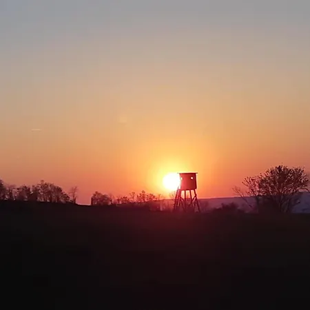 Vogelnest Nahe Oberwesel Damscheid