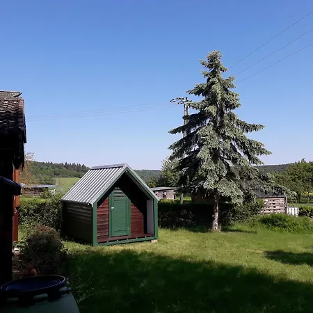 Vogelnest Nahe Oberwesel *