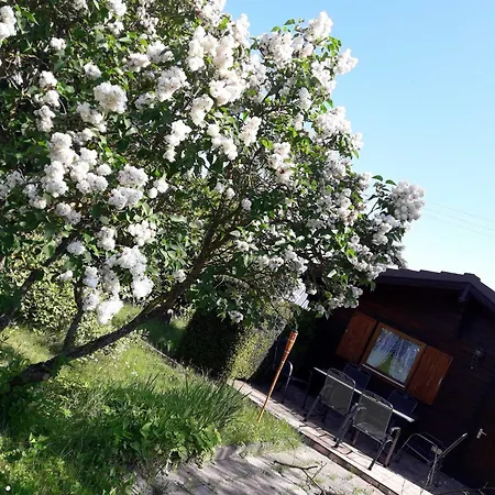 Vogelnest Nahe Oberwesel * Damscheid